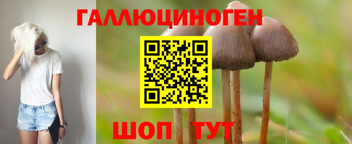 Галлюциногенные грибы MAGIC MUSHROOMS Аша